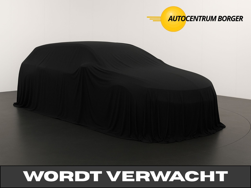 55646531